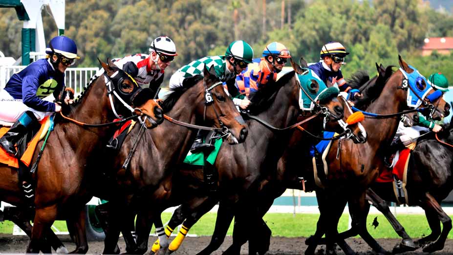 Newmarket Rowley Mile Cambridgeshire Meeting 